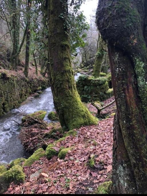 Casinha Estrela Da Encosta - Geres Villa Vieira do Minho Bagian luar foto